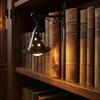 Indoor Hanging Lantern Halloween Library Lantern, Gothic Decorative Bookshelf Lamp, Vintage LED Style Accent Book Nook Light for Bookworms,