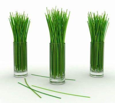 Huile De Massage Aux Huiles Essentielles - Lemongras