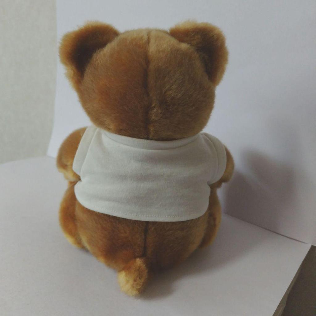 [USED] Hard Rock Cafe Los Angeles Teddy Bear 2004