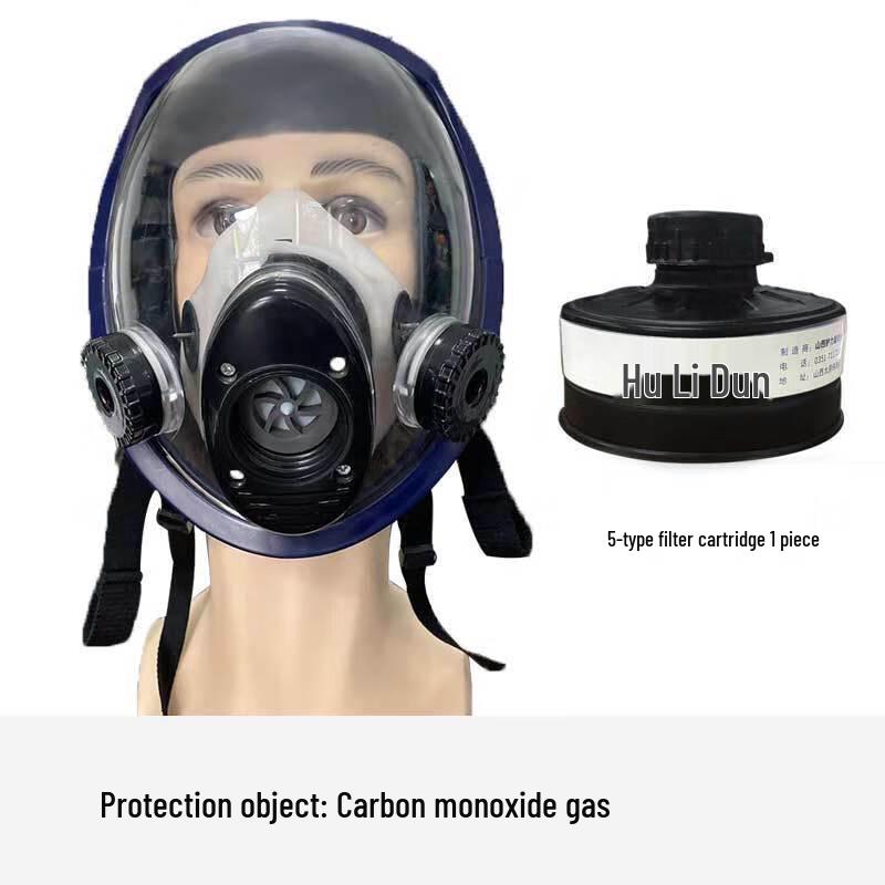 Longchan CF02 Spherical Full Face Gas Mask Respirator