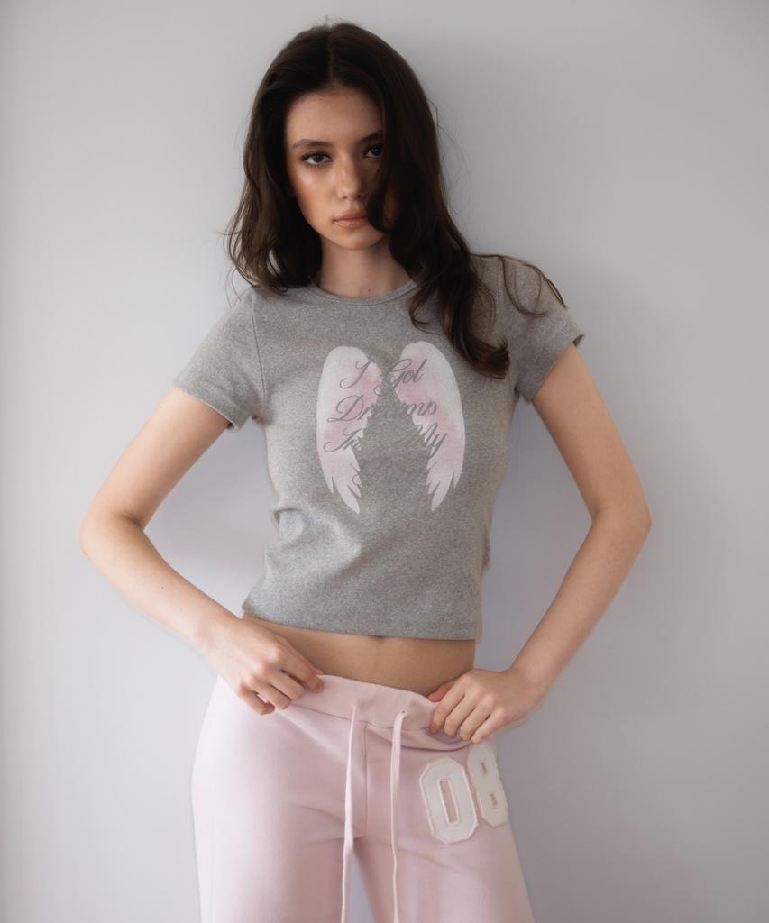 ROSEFRANTZ Angel Wing Lettering T-Shirt [Gray]