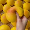 1Pcs Soft Stress Relief Slow Rising Sensory  Toys  Simulated Bread Squeeze Toy For Anxiety Adhd Autism Gifts