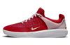 Nike Zoom Nyjah 3 Sb 'University Red White' DV1187-600
