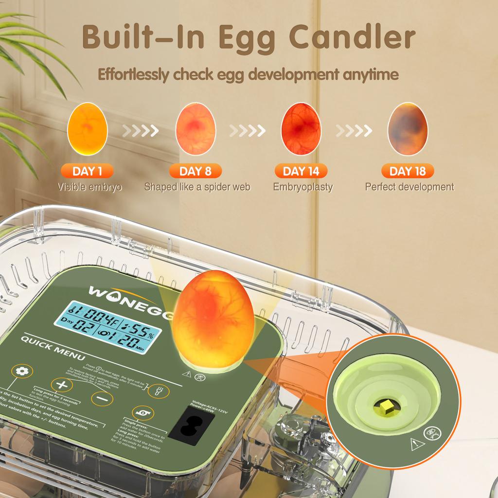Smart Egg Incubator With Multiple Functions, Capacity for 12 Eggs, Compact, Household, Portable, Fully Automatic