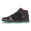 Dunk High SB Premium Northern Lights