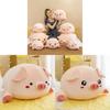 Plush Pig Pillow With Soft Fiber Cotton Filling For Kids And Adults