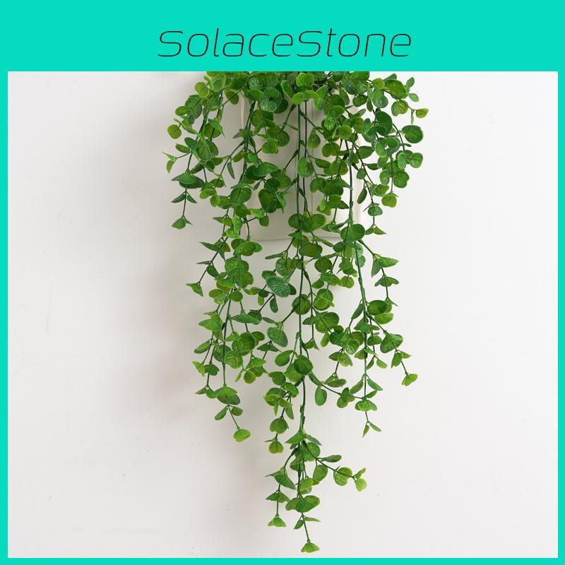 Eukalyptus Pflanzenwand Plastikblätter Innenarchitektur Fotoszenen