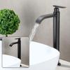 Collezione Rubinetto Monocomando Freddo in Acciaio Inossidabile 304 LINGJULI
