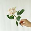 Plant Simulated Rose Restaurant Desktop Decoration Wedding Photography Props