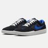 Nike SB Force Skate & Casual Shoes