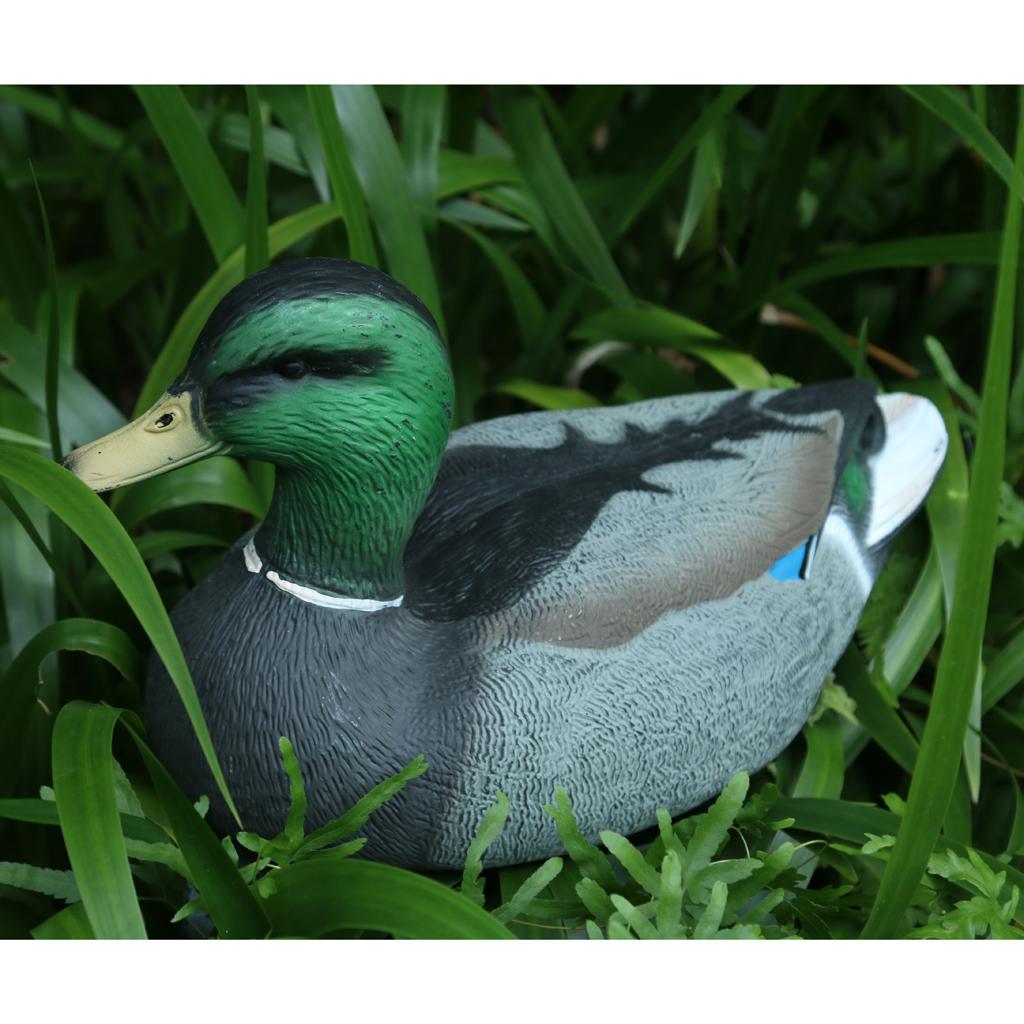 5 Types Realistic Lifelike Duck Figure Garden Decoy Floating Pond