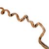 BioCurly Curly Liana for Terrarium 50cm