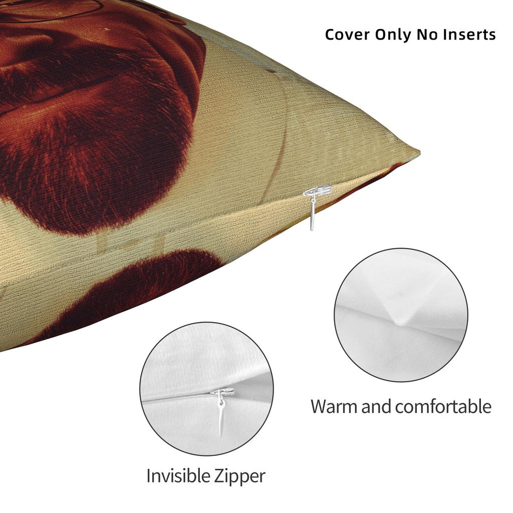 Walter White Meme Pillow Case Kawaii Pillow Cover Design Pillowcases For Sofa Couch Bed Living Room