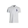 Polo Logo Embroidered Slim Fit Short Sleeve Polo Shirt Men Tops Gray 710781433-004