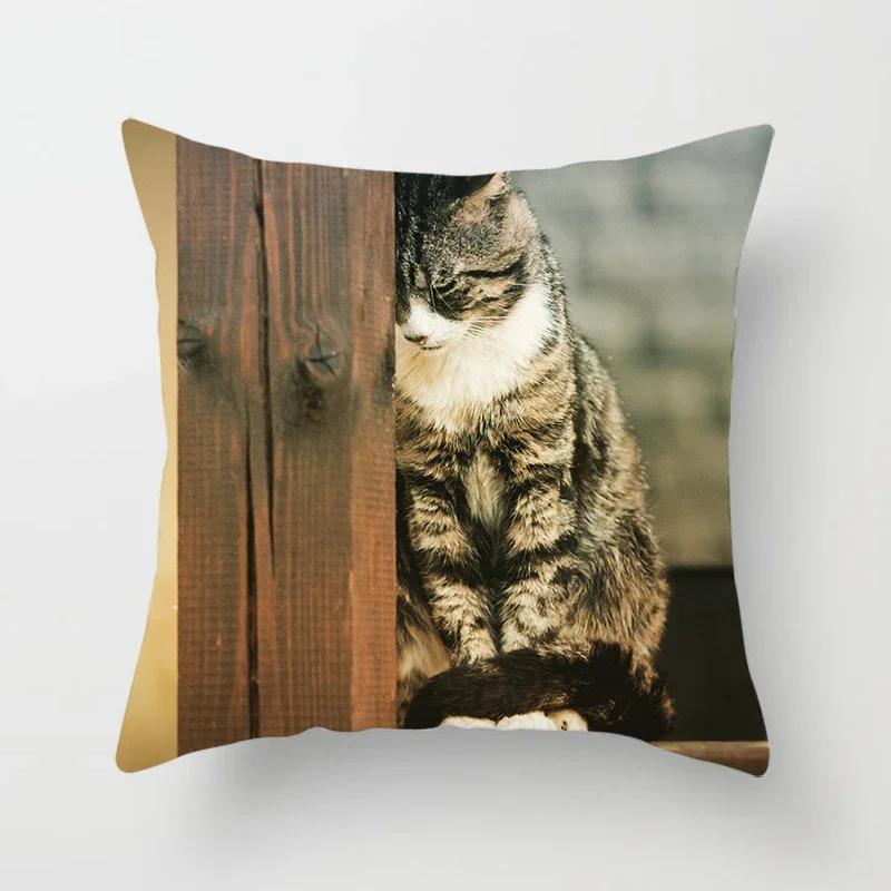 Home Decor Witchcraft Cat Stealing  Cushion Cover Cute  Sofa Car Decoration 45x45cm Pillowcase Square Polyester