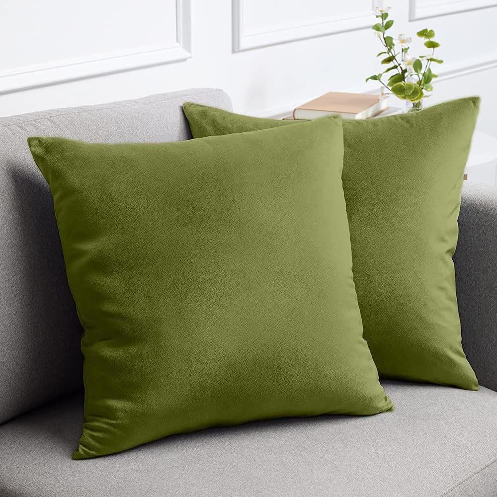 

Однотонна оксамитова плісирована подушка Подушка для ліжка Подушка для дивана Наволочка 45 × 45cm світло-зелений колір