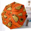 Accesorii – Umbrele