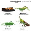 Children's Cognitive Toys: Frog Tadpole Growth Cycle Models