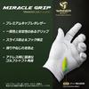 WINNER SPIRIT Miracle Grip Training Golf Correction Sheepskin Leather Size Left Glove, High-Quality (HARD, 23, Hand)