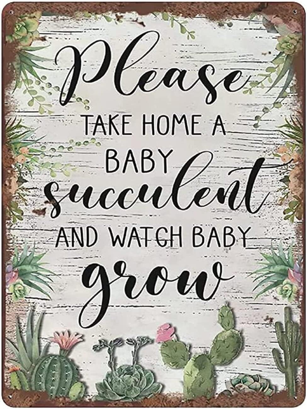 

SaNavie Please Take Home A Baby Succulent Retro Tin Sign Lovers Gift Flower Wall Plant Wallart Garden Decor Farmhouse Birthda 20x30cm（7.8x11.8inch）