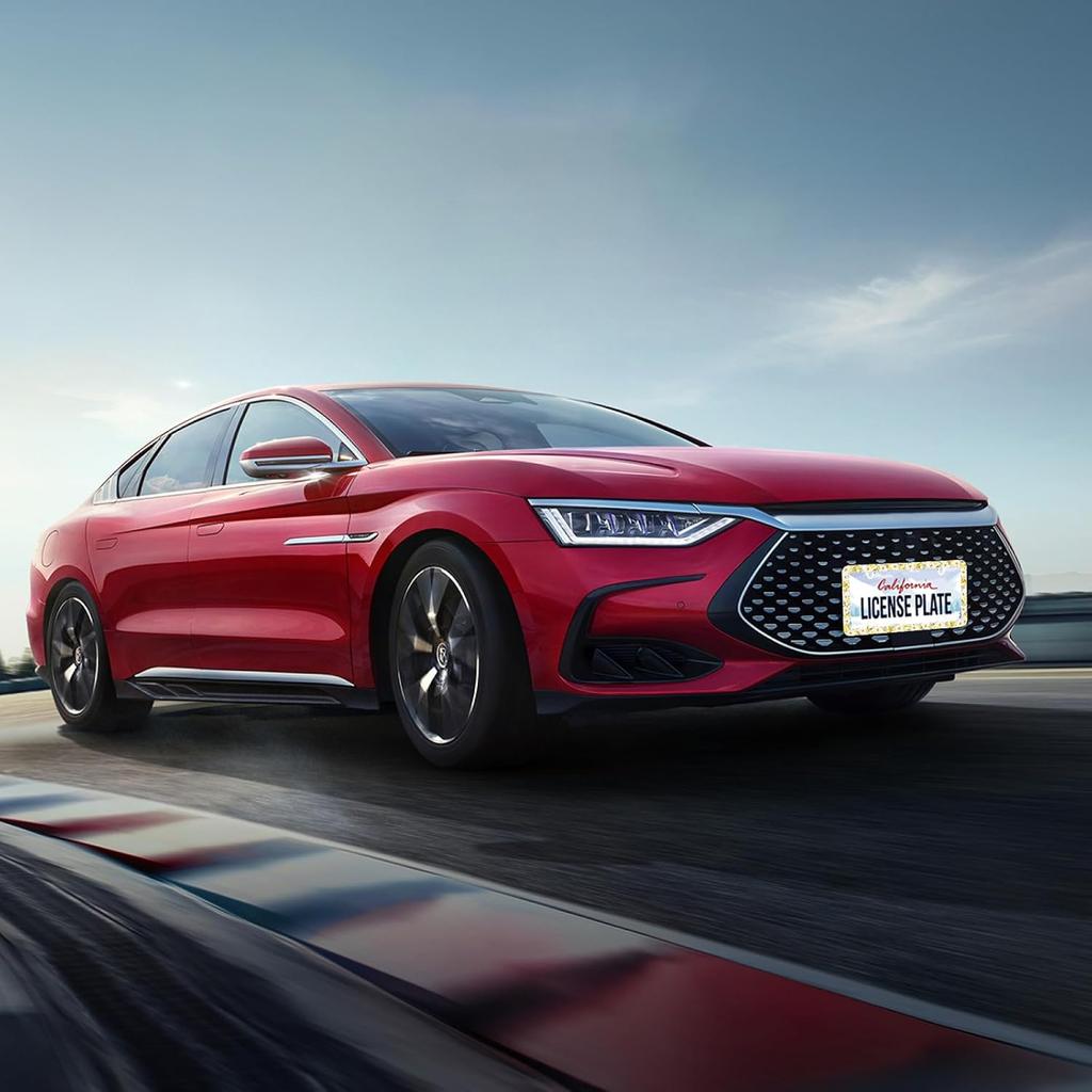 Daisy Flower License Plate Frame Beautiful Floral License Plate Stainless Steel Auto Parts Funny License Plate Decorative With Screws Size 12.3" X