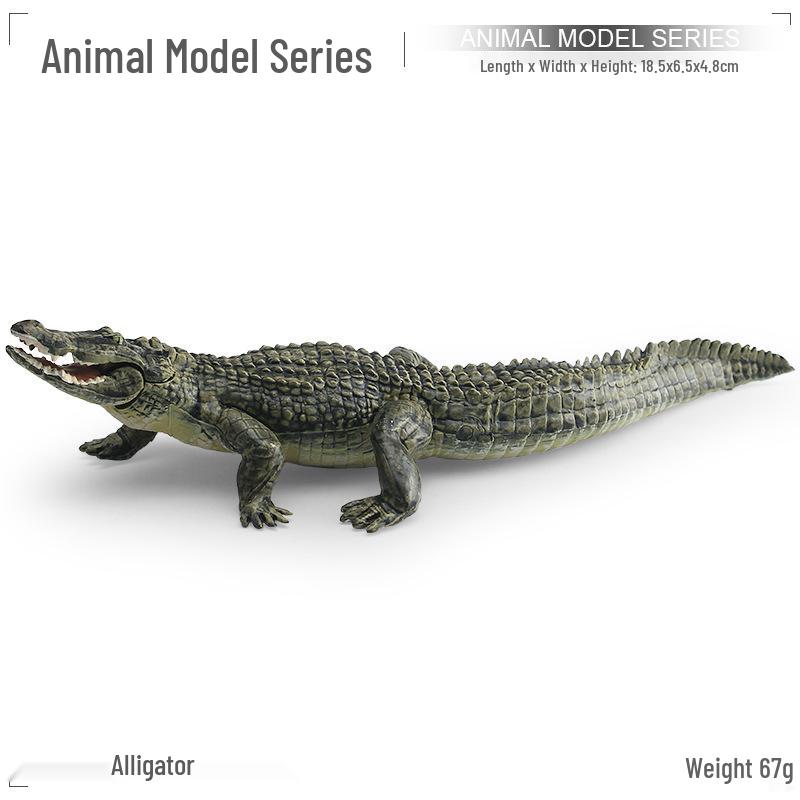 Crocodile Model Set: Small Static Display Reptile Toys