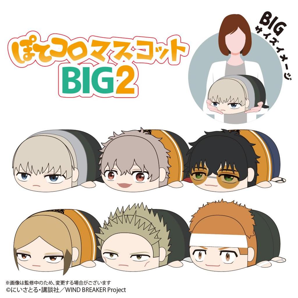 WIND BREAKER Potekoro Mascot BIG2 F: Tsuura Taiga