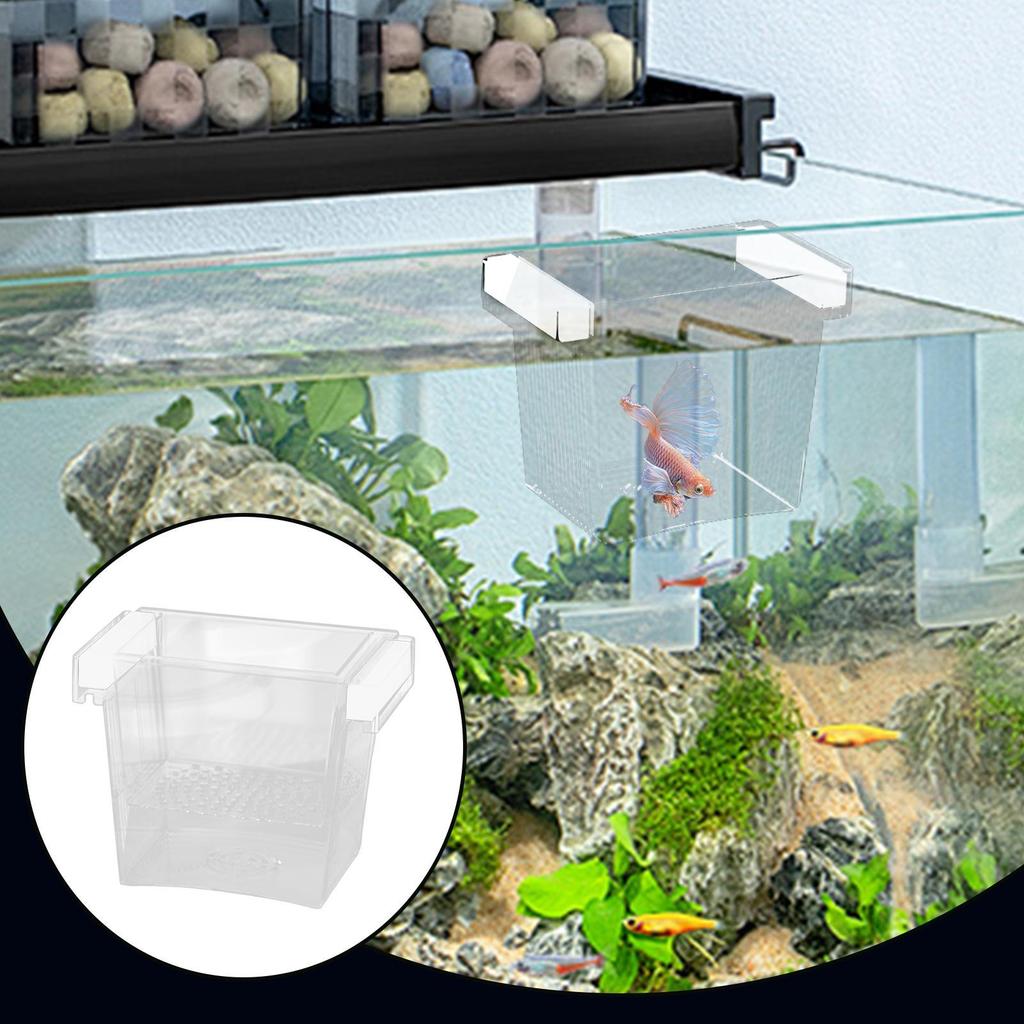 Fish Breeder Box For Aquarium Baby Fish Separator For Aquarium Divider Nursery Safe Acclimation Egg Guppy Shrimp Betta Fry