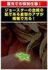 JoJo's Bizarre Adventure Part 3" Statue Legend Shadow DIO WF Special Edition WF Limited Edition