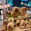Capybara Plush Toy with Runny Nose - Stuffed Animal Doll Pendant Birthday Gift