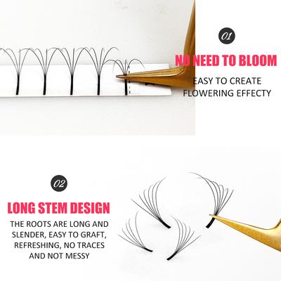 3D/4D/5D/6D předpřipravené objemové řasy Vějířky s dlouhým stonkem D Curl Lashes Ruské řasy pro objem prodlužování řas
