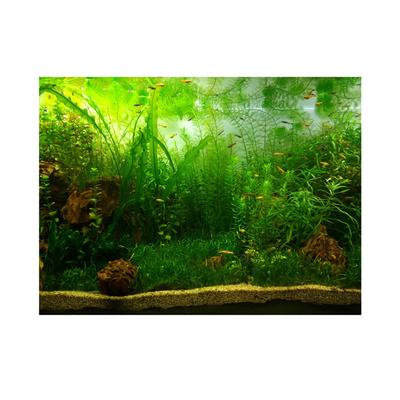 Póster de fondo para acuario con diseño de hierba acuática y papel adhesivo de PVC (122*50cm)
