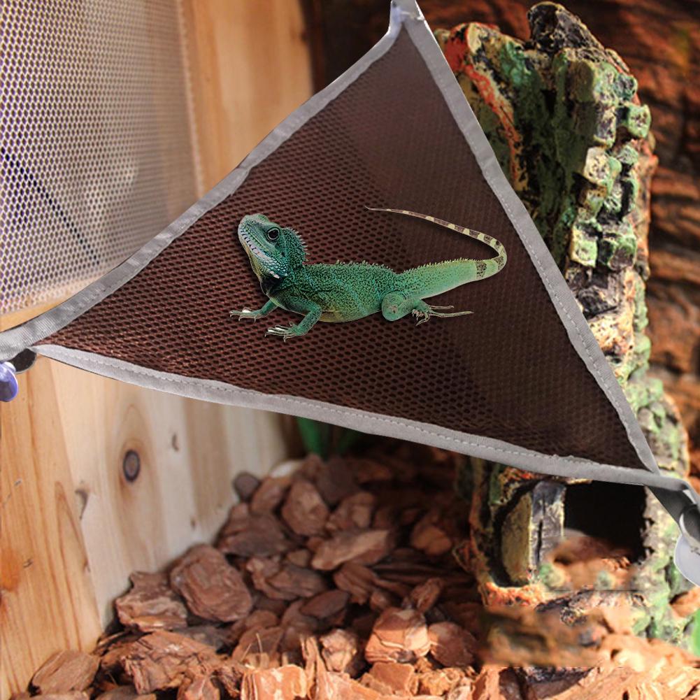 reptile grass mat