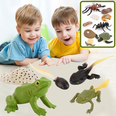 Pädagogische Simulation Kinder beste Tier Wachstum Zyklus Modell Cartoon Spielzeug