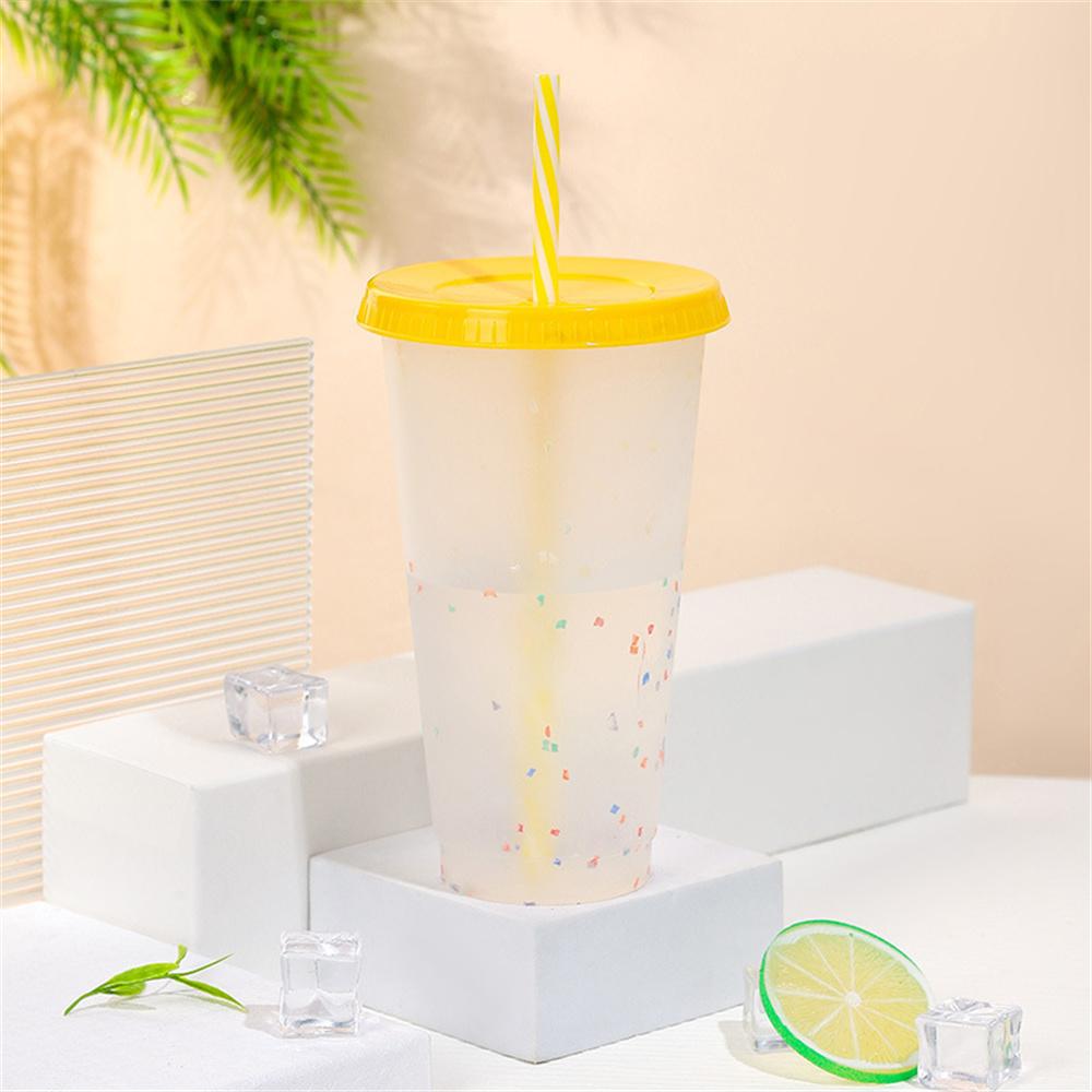 700 ml Kunststoff-Trinkbecher mit Farbwechsel und Strohhalm, klare, kalt gefärbte Wasserflasche für Kaffee, Saft, Milch, Tee, wiederverwendbarer Trinkbecher