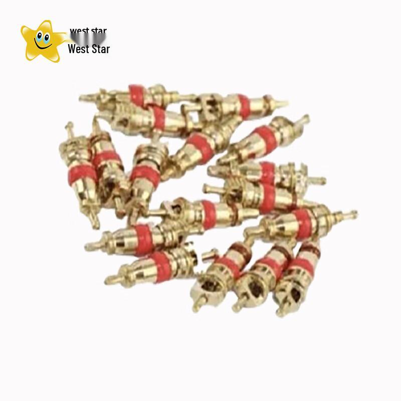Xixing BAIC BJ2022JC Tire Valve Cores