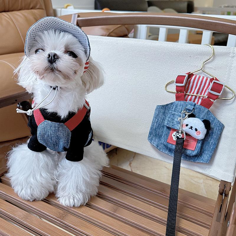 Husdjur Hund Katt Vår och Sommar Solhatt Bröstsele Dragkoppel Liten Hund Dräkt