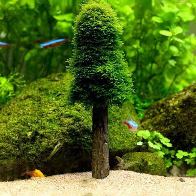 Aquarium Moss Plants Holder for DIY Growing Live Plants Mini Trees Shrimp Tanks Decoration Fish for Tank Accessories