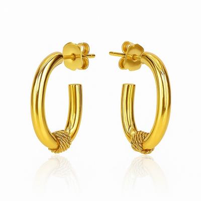 Earrings Stainless Steel Gold Plated 14K Gold Round Gold Women's