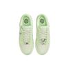 Nike Dunk Low Next Nature Verre Marin Baskets Femme Vert Argent Clair Vert Vapeur FN6344-001