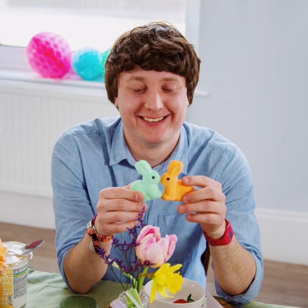Easter  Macaron  Figurines,  Home Decorations