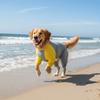 Quick Drying Dog Cooling Jumpsuit Breathable Dog Sunscreen Costume  Spring Summer