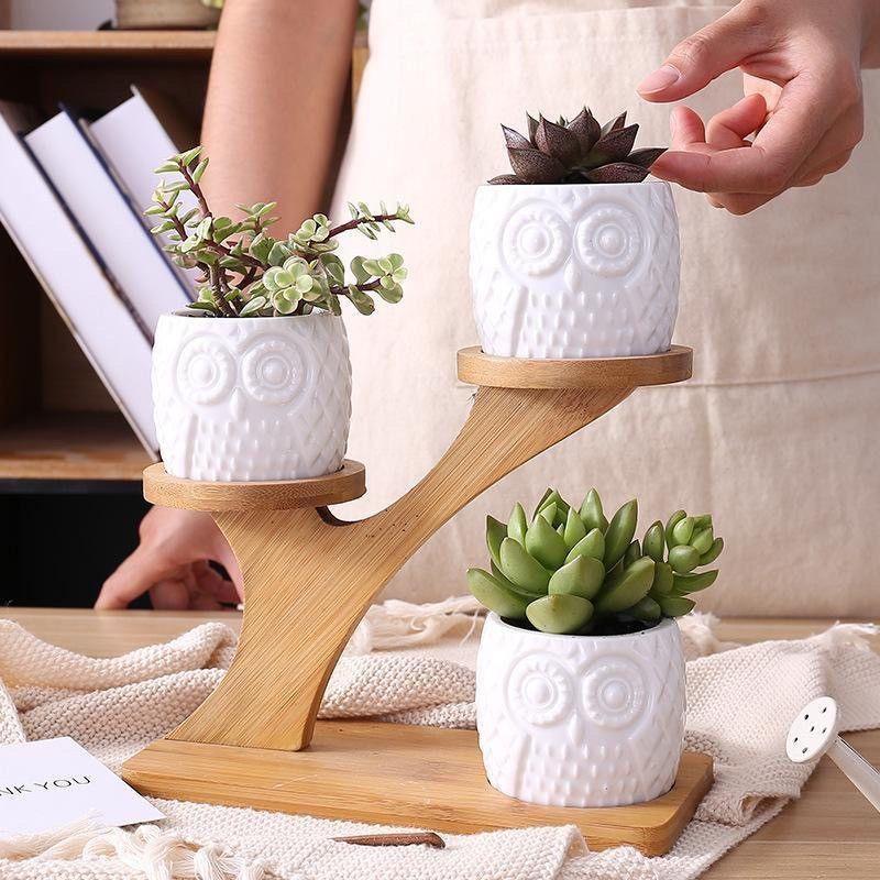 Unique Tree Branch Shaped Succulent Pot Stand Wooden Desktop Succulent Plant Pots Holder Flowerpots for Windowsill Tabletop Decor