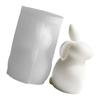 Detailed Silicone Easter Rabbits Mould For Homemade Candles And Crafts