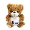 Takeoff Plush Toy June Brown BEAR'S365