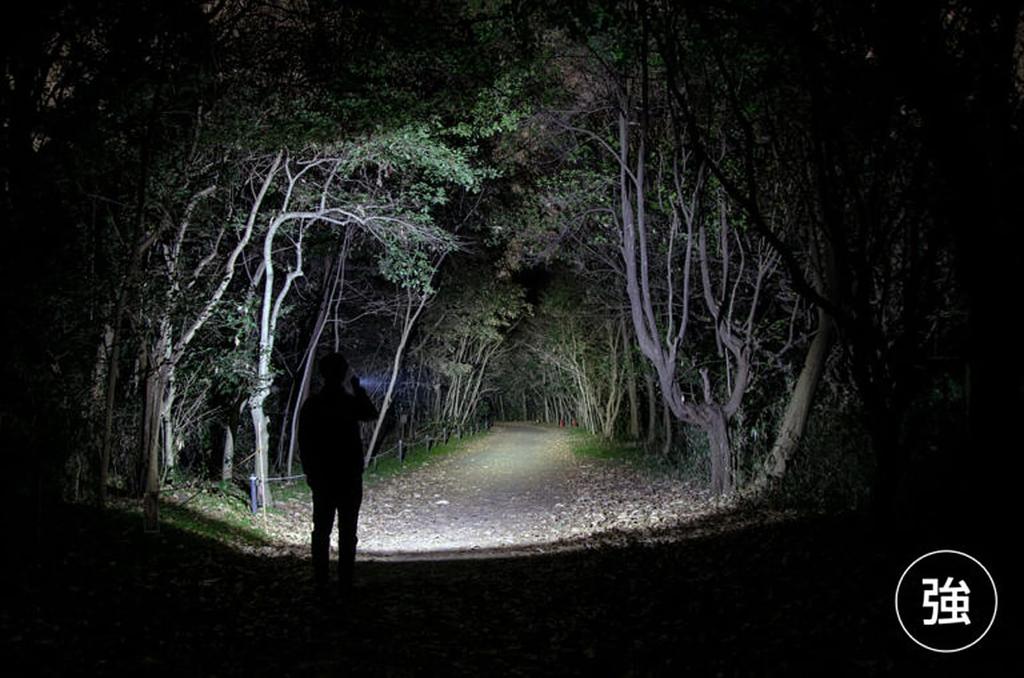 GENTOS G Series LED USB 1250 Run and Waterproof To Uses Dedicated Rechargeable Battery GF-216RG Flashlight, Rechargeable, Lumens, 3-Hour Time,