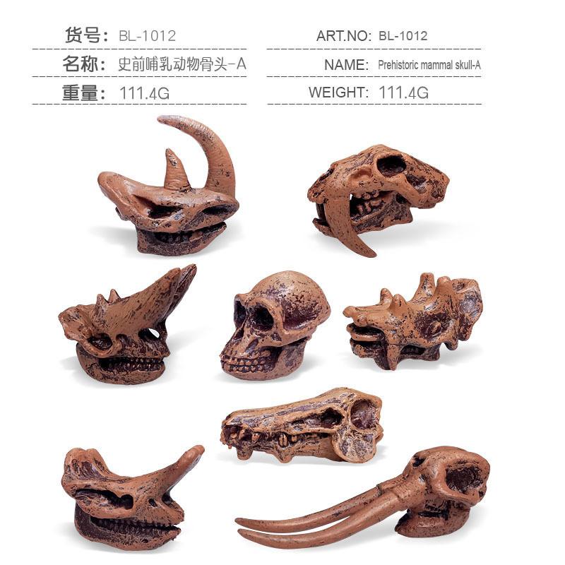 Realistic Jurassic Dinosaur Skull Model Toy For Kids Educational Archaeology Fun
