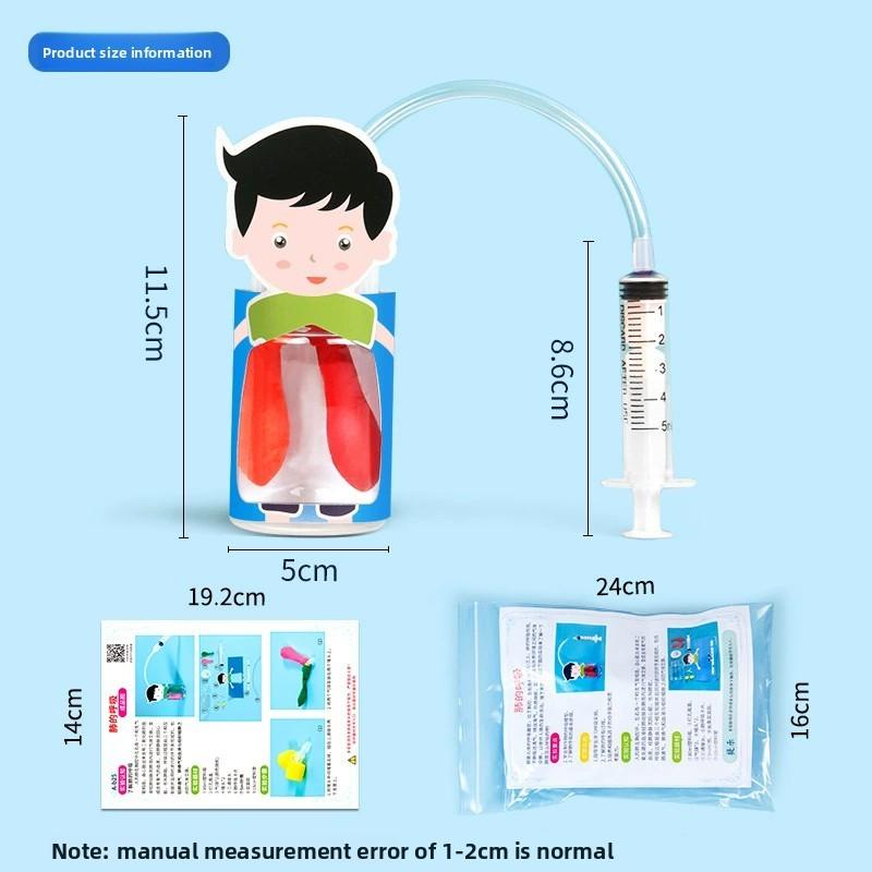 Kids Diy Physiology Model Of Lung Movement For Science Education And Handson Learning