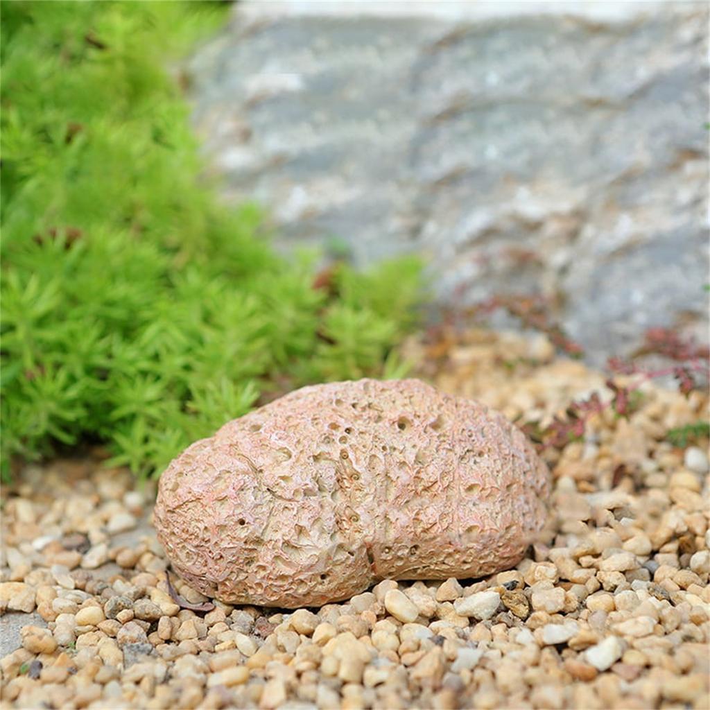 Fake Rocks Spare Key Storage,Decorative Stone Garden Ornament,Waterproof Real Looking Rocks Key Hider Practical Performance For Outdoor Yard