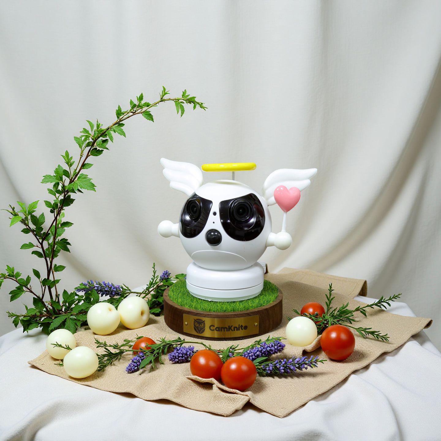 Беспроводной радионяня с двумя камерами, обнаружением движения и сигнализацией